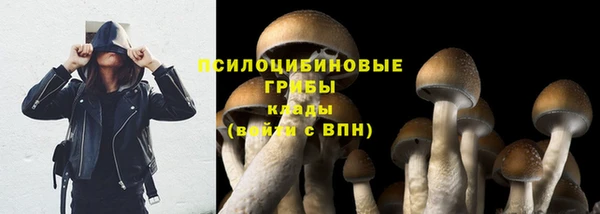 хмурый Сатка