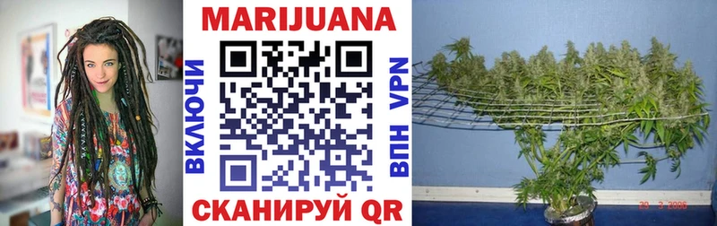 ссылка на мегу как войти  Нефтегорск  Бошки марихуана OG Kush 